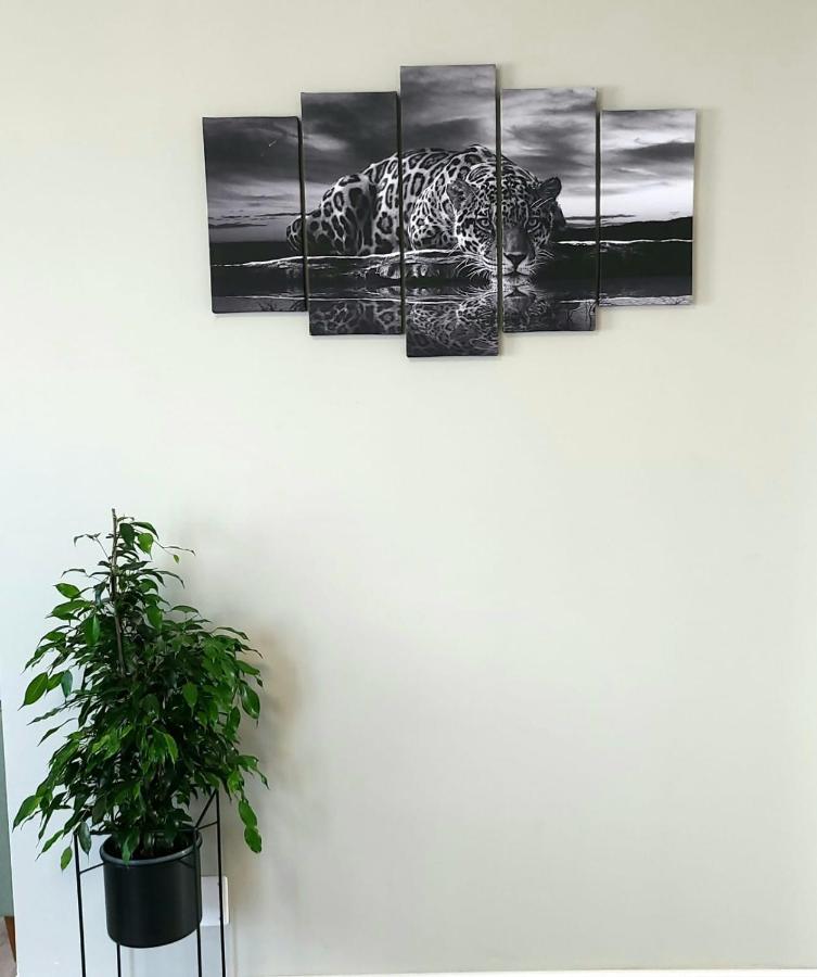 David'S Place Floreşti 外观 照片